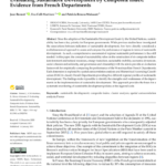 Evaluating Sustainable Development by Composite Index: Evidence from French Departments