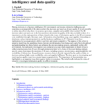 Decision making in the context of business intelligence and data quality