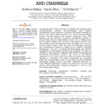 DECISION-MAKING PROCESS IN CHOOSING DISTRIBUTION STRATEGY AND CHANNELS