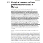 Biological invasions and their potential economic costs in Morocco