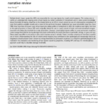 Risks and regulation of rubber scattershot in Switzerland: a narrative review