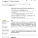 Effect of Commercial Diets on Growth and Digestive Physiology in Guppies (Poecilia reticulata)
