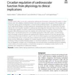 Circadian regulation of cardiovascular function: from physiology to clinical implications