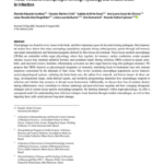 Tissue-Resident Macrophages: Linking Physiology and Inflammation in Infection